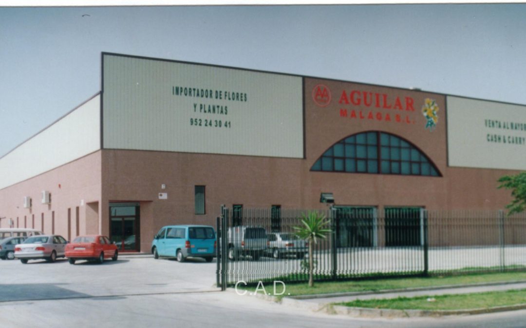 Aguilar Málaga S.L. Fase I