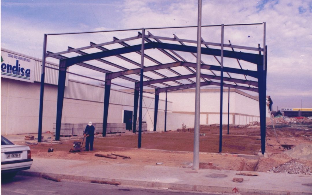 Cendisa S.L. Fase I