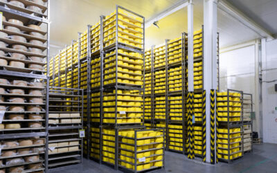 Nave industrial frigorífica